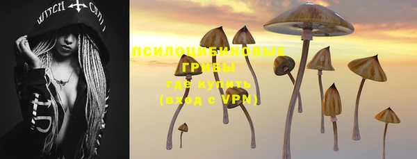 дживик Михайловск