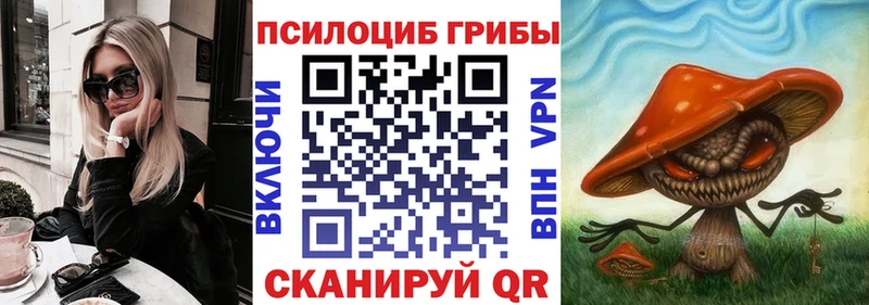 цена наркотик  Болотное  Псилоцибиновые грибы ЛСД 