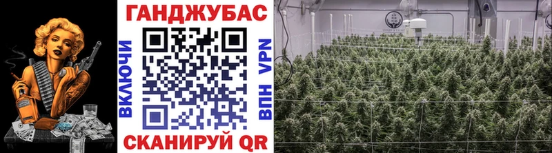 гидра маркетплейс  Болотное  Канабис MAZAR 